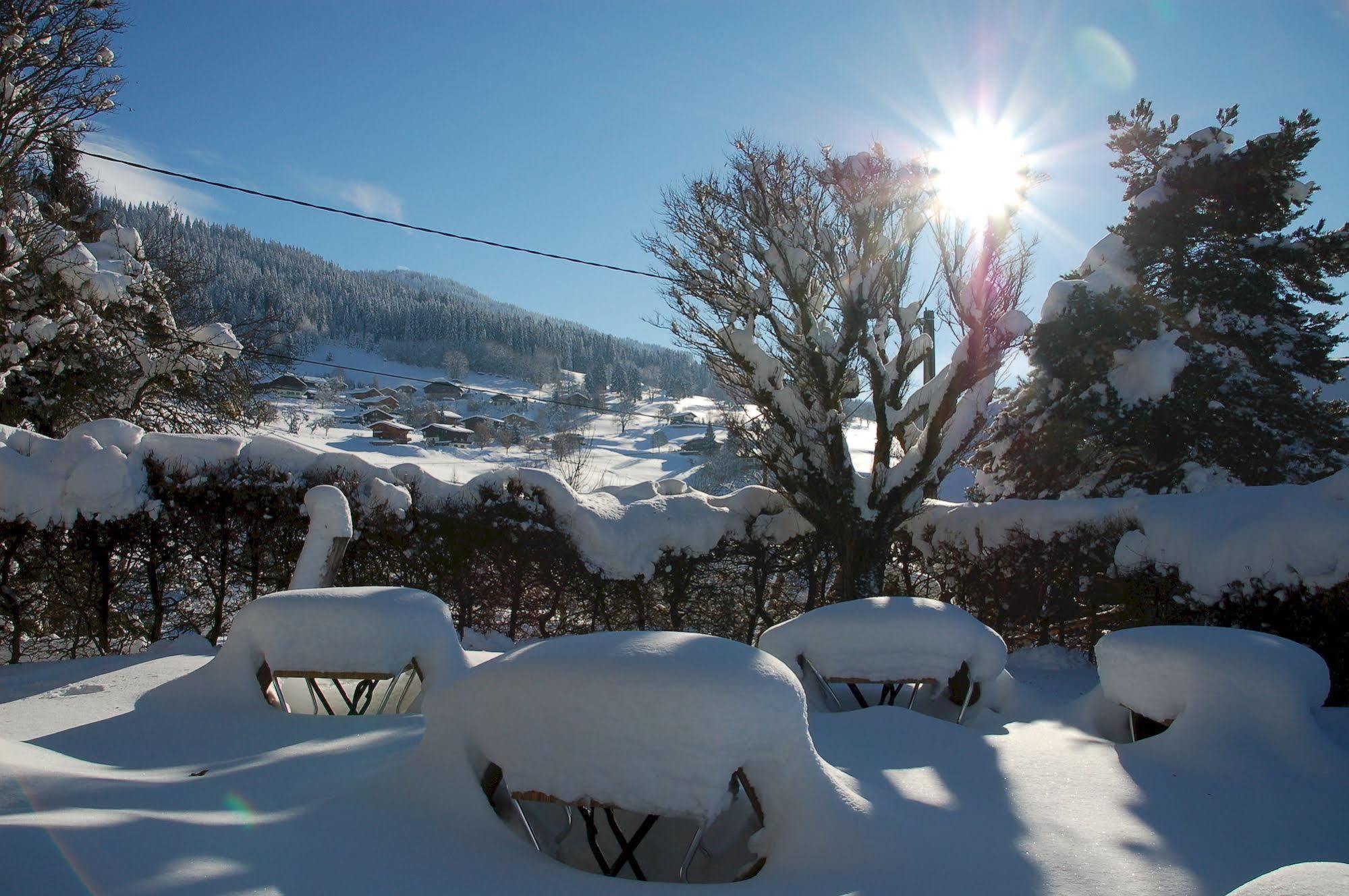 Hotel Le Caprice Des Neiges กงบลู ภายนอก รูปภาพ